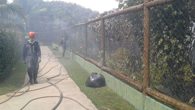 🚨GUARAJUBA:Defesa Civil e bombeiros tentam conter novo incêndio