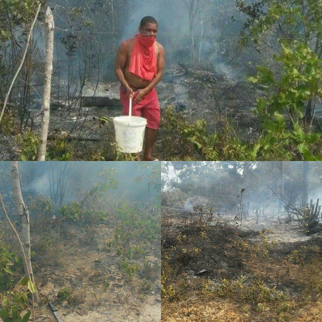 🚨 MORADORES DO CAMINHO DO MAR 2 PASSARAM UMA TARDE INTENSA POR CONTA DE UM INCÊNDIO QUE ATINGIU  UMA MATA QUE FICA AO REDOR DA LOCALIDADE.