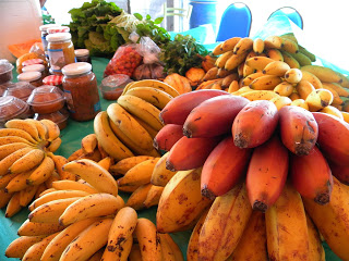 🚨FEIRA AGROECOLÓGICA: Ação começa no próximo fim de semana