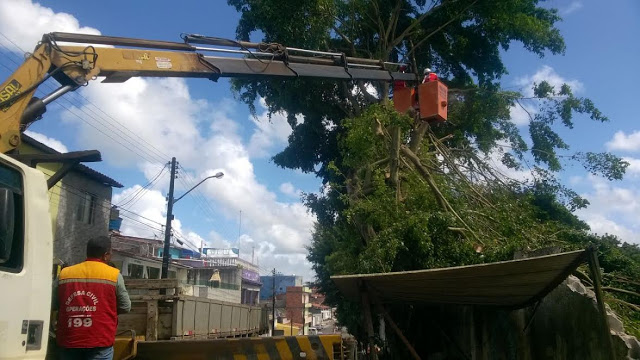 🚨 DEFESA CIVIL DE CAMAÇARI FAZ A REMOÇÃO DE ARVORES QUE ACABARAM CAINDO DURANTE OS FORTES VENTOS DA ÚLTIMA  MADRUGADA E EMITE UM ALERTA A POPULAÇÃO DE CAMAÇARI.