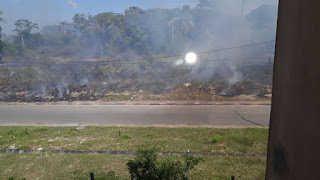 🔥 URGENTE: FOGO DESTRÓI VEGETAÇÃO NO PONTO CERTO EM CAMAÇARI (30).