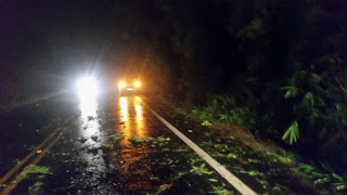 POR CONTA DOS FORTES VENTOS, BABUZAIS CAIRÃO  SOBRE A VIA CASCALHEIRA NA NOITE DESTE SÁBADO (09), EM CAMAÇARI.