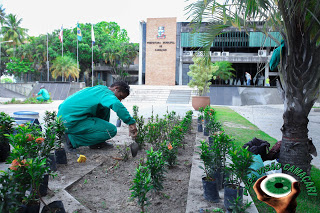 POLÍTICA AMBIENTAL – Prefeitura realiza plantio em diversos pontos da cidade