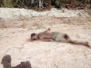 Menor de 17 anos é encontrado morto no bairro do Jd. Limoeiro na manhã desta quarta-feira (14),em Camaçari.