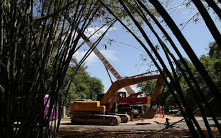 Sedur retira embargo da obra do metrô que derrubou parte de bambuzal