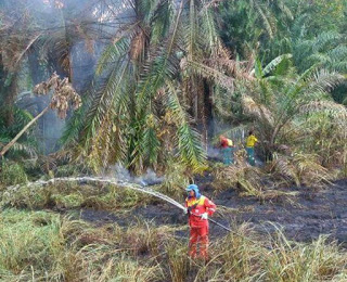 Sábado de chamas e cinzas em camaçari preocupa a população