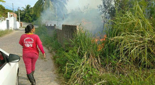 Defesa civil de camaçari realiza combate a incêndio em Barra de Jacuípe, na tarde deste Domingo (11).