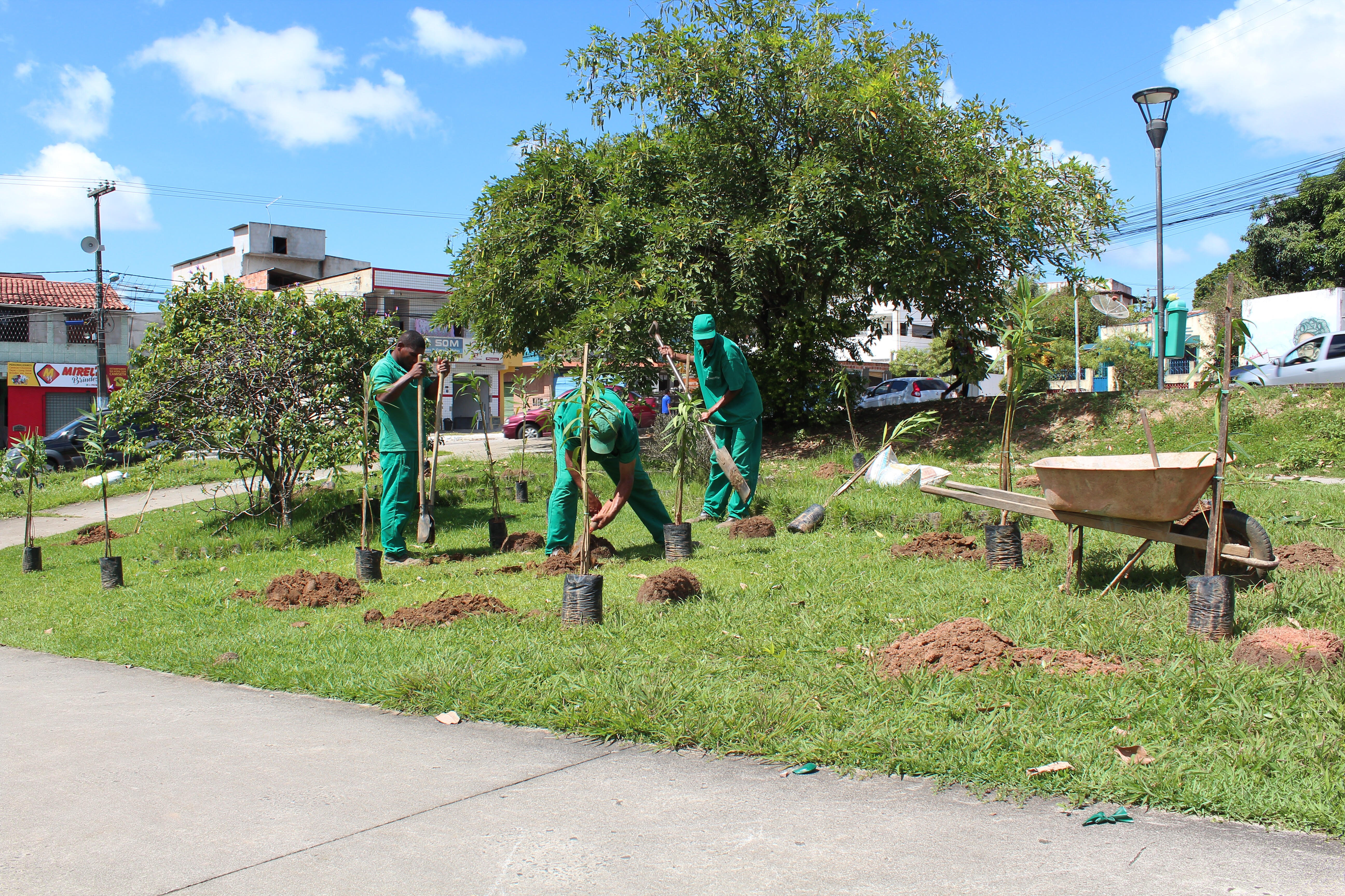 Sedur realiza plantio de 100 mudas na Praça dos 46