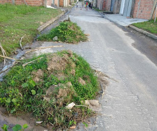 “Trabalho pela metade” NATURALLE faz limpeza e deixa lixo amontoado no bairro do Verde Horizonte