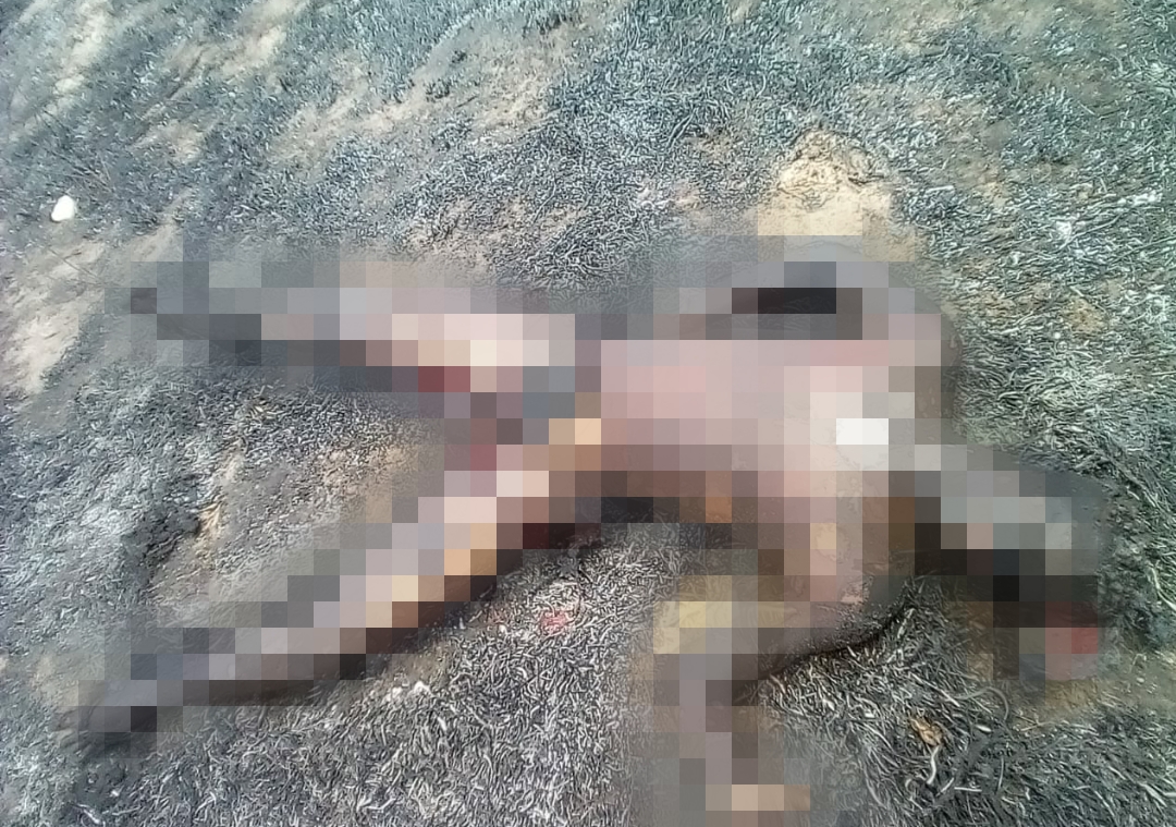 Após incêndio controlado corpo é encontrado carbonizado no Ponto Certo