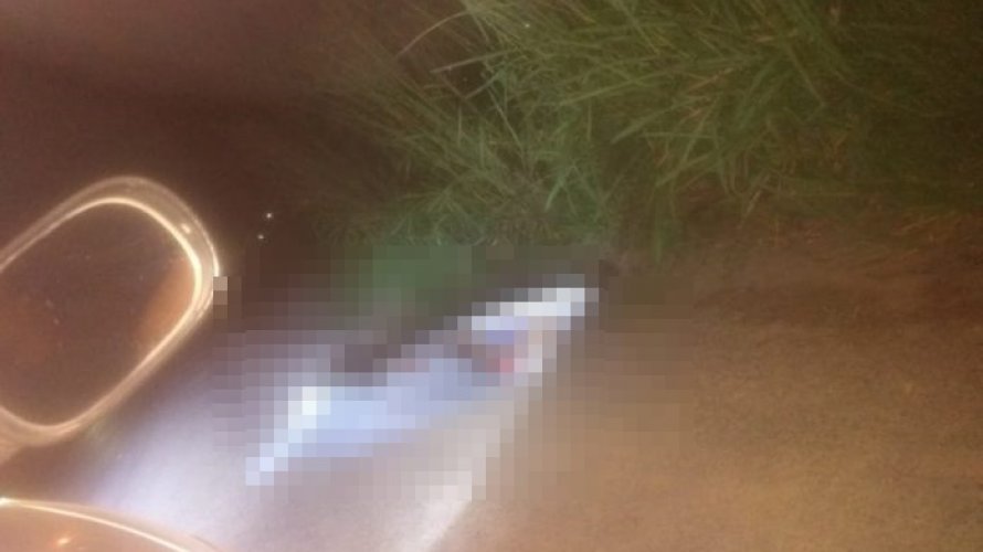 Corpo em decomposição é encontrado enrolado em lona às margens da BA-046