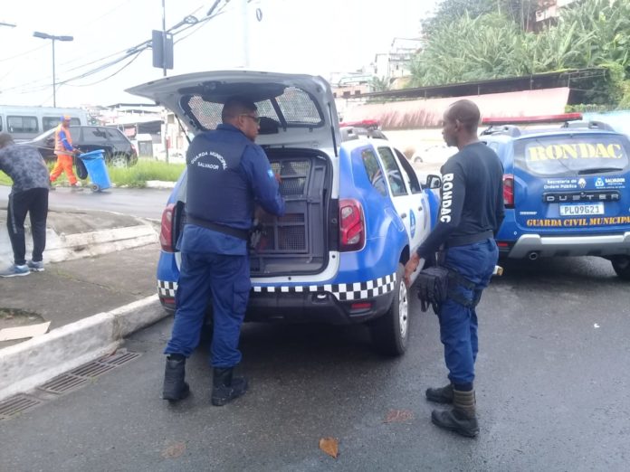 Irmãos tentam agredir cobrador e roubar ônibus em frente a sede da GCM da San Martin