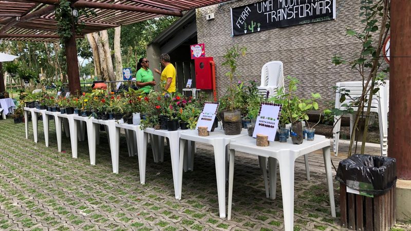 Feirinha do Horto reúne meio ambiente, agricultura e diversão para toda família