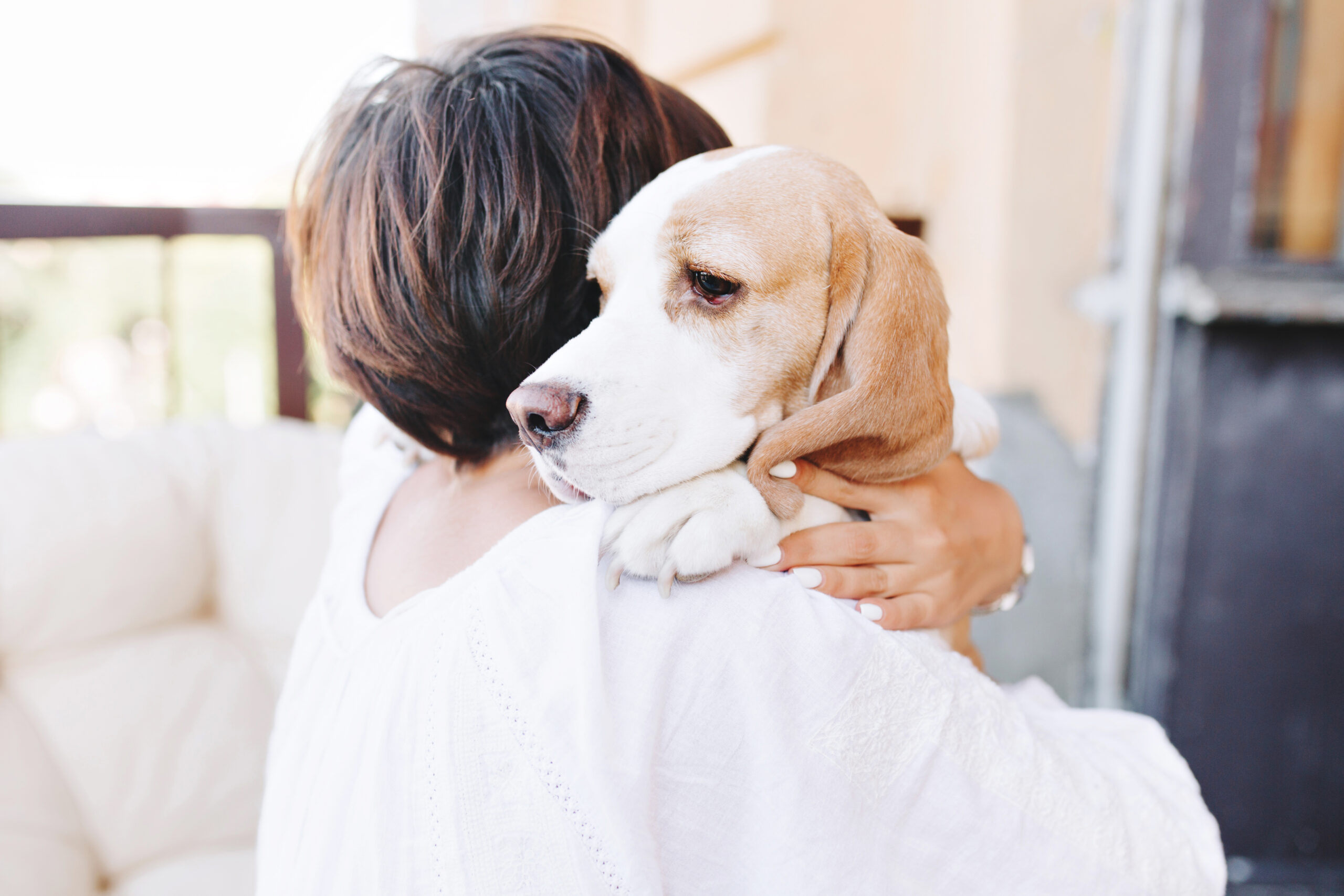 Animais podem desenvolver depressão?