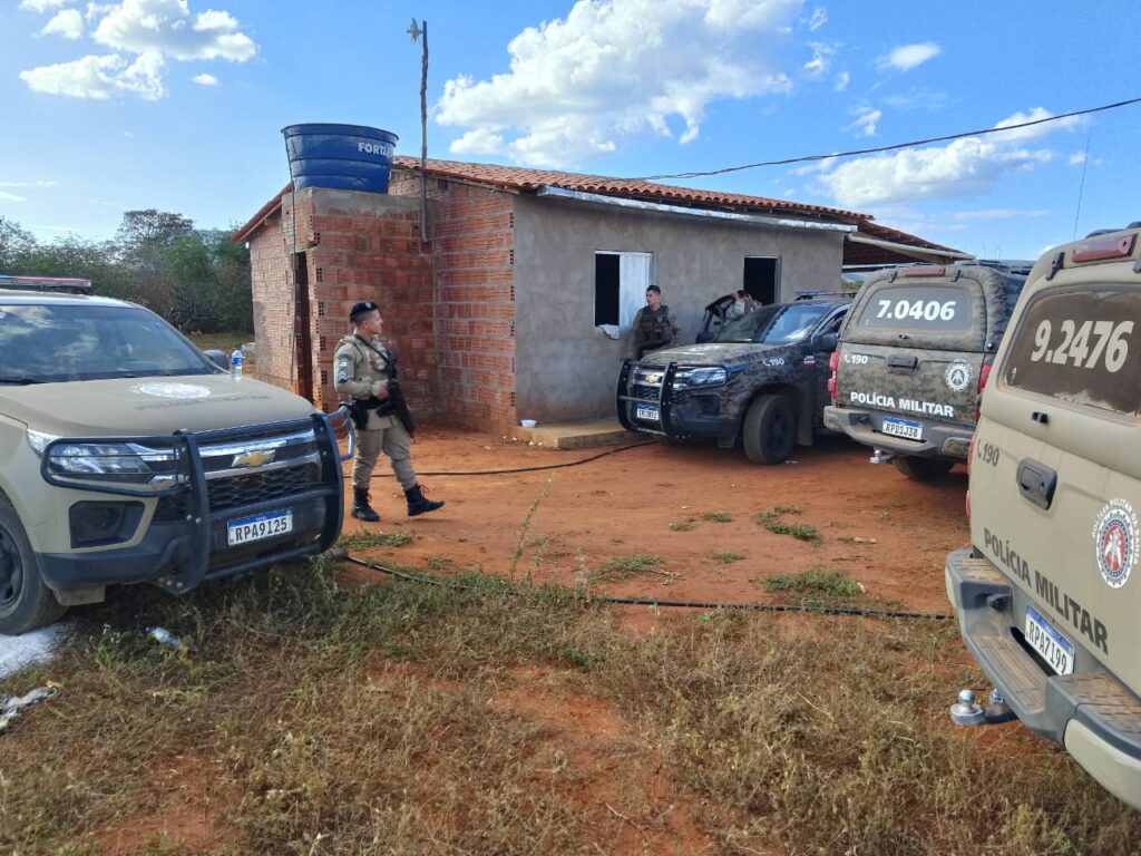 O plantio foi localizado por equipes da Companhia Independente de Policiamento Especializado (Cipe) Caatinga e da 24ª Companhia Independente de Polícia Militar (CIPM/Jacobina).