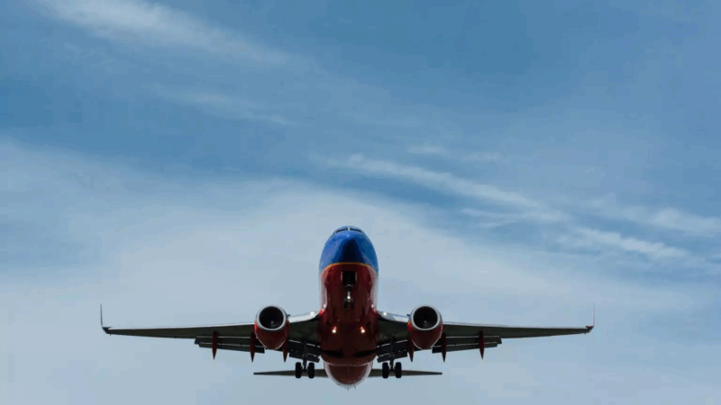 Anac garante 80% de desconto em passagens para acompanhantes de pessoas autistas