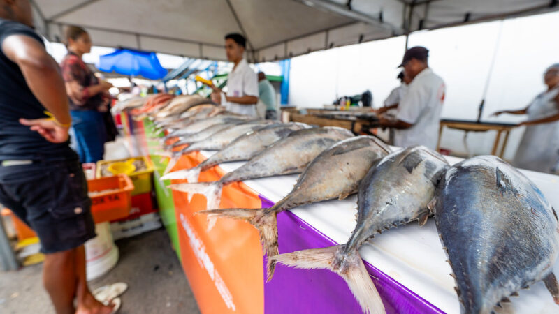 Semana Santa: população pode adquirir produtos na Feira do Peixe a partir de quinta-feira (02)